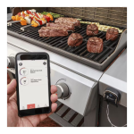 Газовый гриль Weber Genesis II E-310 GBS черный