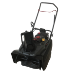 Снегоуборщик EVOline SBG 560 BE (с двигателем Briggs&Stratton)