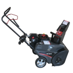 Снегоуборщик EVOline SBG 560 BE (с двигателем Briggs&Stratton)